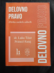 Zbirka sodnih odločb za delovno pravo