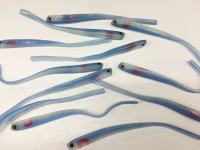 Gumijasta ribica Iron Claw Dell-Tail 18cm