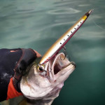 Savage Gear Surf Walker 2.0 floating