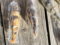 Spužvasti kapelj - peš