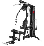 Profesionalna multigym fitnes naprava TYTAN100