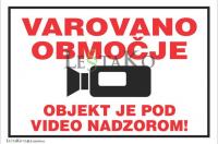Video nadzor