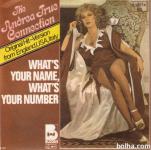 Andrea True Connection ‎– What's Your Name 7'' vinyl M/NM
