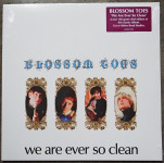 Blossom Toes – We Are Ever So Clean  (LP)