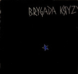 Brygada Kryzys – Brygada Kryzys- polski novi val- LP Vinil - EX VG+
