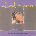 PLOŠČA DAVID SYLVIAN