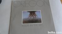 OREGON - ROOTS IN THE SKY