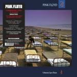 Pink Floyd - A Momentary Lapse Of Reason (vinil)