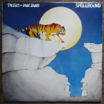 Tygers Of Pan Tang ‎– Spellbound  (LP)