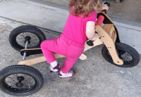 Lesen poganjalec TRYBIKE 4v1