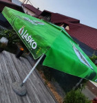 Senčnik (marela) Laško