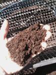 30 litrov naraven kompost, humus za dognojevanje - presejan + dostava