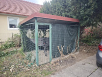 Pesjak - pasji boks