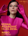 2 karte 12.2.2026, Vesna Pisarovič, Nebo, Ljubljana