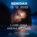 Senidah - 2x vstopnice za parter (13.12.2025), Stožice