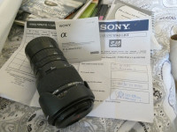 Objektiv Sony 18-250mm f/3.5-6.3 DT SAL-18250