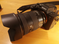 Sony FE 24-105mm f4 G OSS