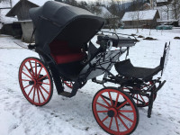 Poročna kočija viktorija