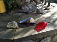 Indian prednja zadnja luč