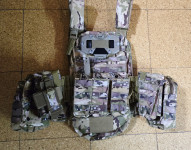 Platen carrier