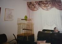 UNIKATNE DEKORATIVNE ZAVESE IZ VELANE