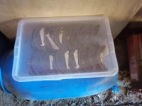 Diski, plošice, pakne  - NOVO/NERABLJENO