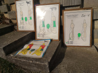 4 kom stare table,plastificiran papir, stara shema goveda,prašičev,