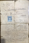 Izola-Obrtno dovoljenje na ime Maria Delise iz Izolei leta 1889