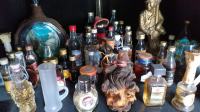 Stekleničke, zbirka/kolekcija stekleničk žganih pijač