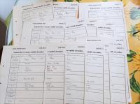 ŠKOFJA LOKA, POLJANSKA IN SELŠKA DOLINA - POPISNI KARTONI, 1914