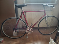 Vintage kolo Pinarello
