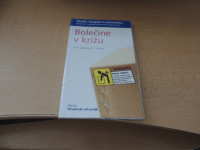 BOLEČINE V KRIŽU M. I.V. JAYSON ZALOŽBA eBesede 2013
