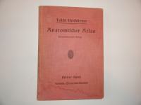 TOLDT-HOCHFTETTER ANATOMISCHER ATLAS, ANATOMSKI ATLAS