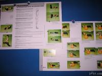 ZDRAVA HRBTENICA - PROGRAM VAJ