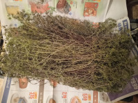 BIO TIMIJAN, POSUŠEN