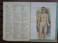 Anatomski atlas človeškega telesa, starinski