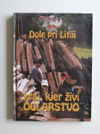 DOLE PRI LITIJI, KRAJ KJER ŽIVI OGLARSTVO