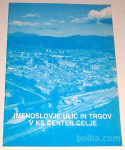 IMENOSLOVJE ULIC IN TRGOV V KS CENTER CELJE