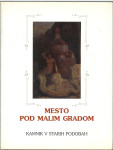 Mesto pod Malim gradom : Kamnik v starih podobah