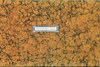 Postojnska jama : pećina = the cave = die Höhle = la grotta = la grott