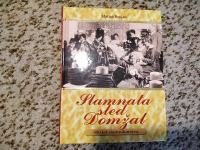 Slamnata sled Domžal : 300 let slamnikarstva / Matjaž Brojan