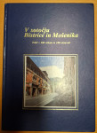 V sotočju Bistrice in Mošenika
