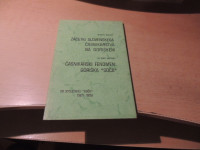 ZAČETKI SLOVENSKEGA ČASNIKARSTVA NA GORIŠKEM / ČASNIKARSKI FENOMEN: