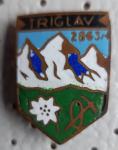 Planinska značka Triglav 2863m planika, cepin, vrv starejša emajlirana