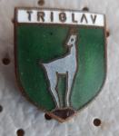 Planinska značka TRIGLAV emajlirana starejša III.