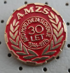Značka Avto moto zveza Slovenije AMZS 30 let