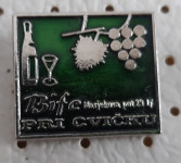 Značka Bife pri Cvičku zelena