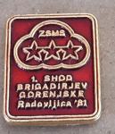 Značka MDB ZSMS 1. shod brigadirjev Gorenjske Radovljica 1981