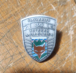 ZNAČKA  - OSAMOSVOJITVENA VOJNA,VETERAN NOVA GORICA