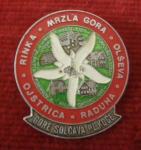 ZNAČKA PRIPONKA GORE SOLČAV PL.KOČE 4 CM